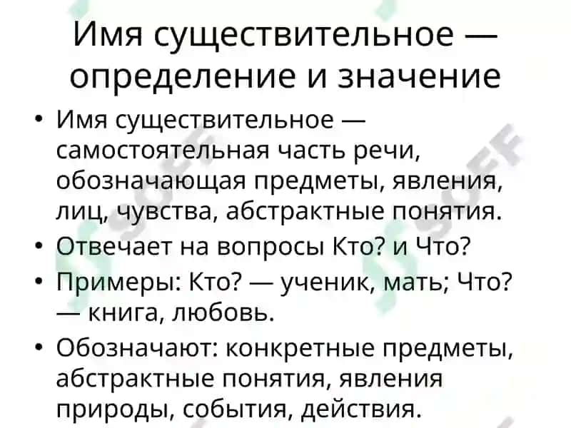 Имя существительное — определение и значение 2