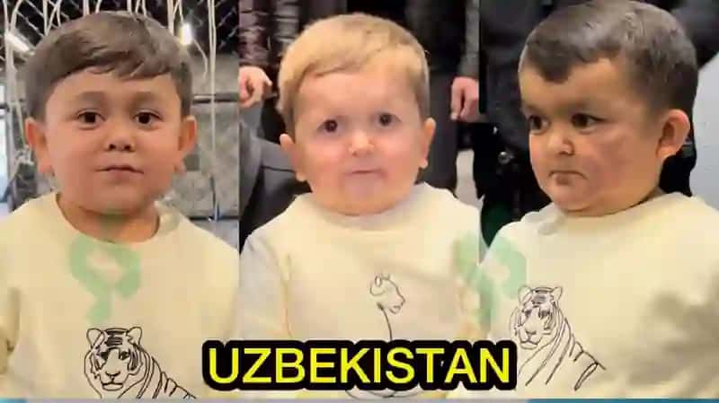 GORMONLAR VA ULARNING YOSHGA OID FUNKSIYALARI 2