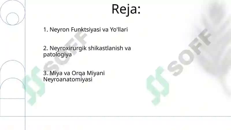 Bosh miya va orqa miya nervlarining tuzilishi funksiyasi patalogiyasi va shikastlanish sindromi 2