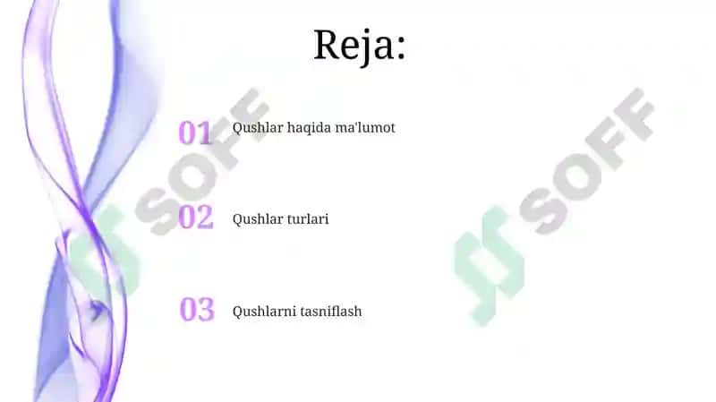 Qushlar turlari va ular haqida malumotlar 2