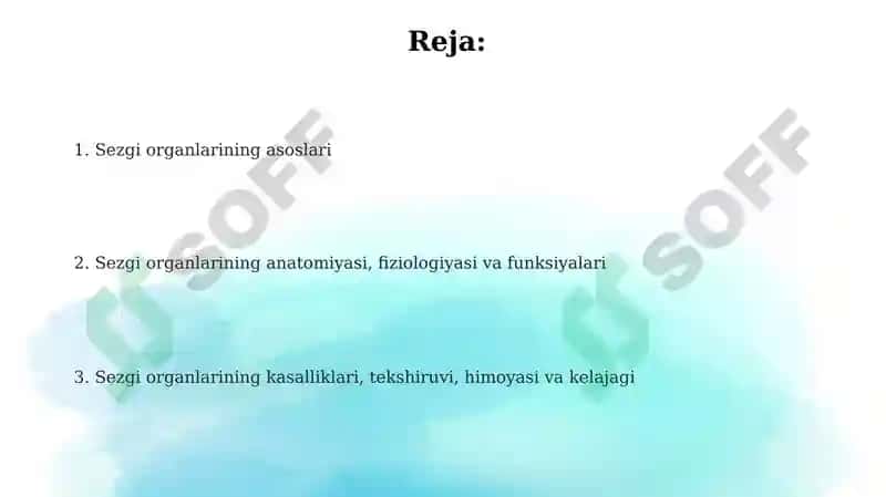 Sezgi organlarining ta'rifi va turlari 2