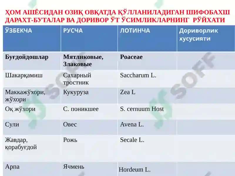 ЎзбекистонингистиқболлидоривориворЎсимликлари 2