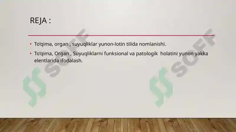 Lotin tilida Tibbiyot Terminologiyasi 2