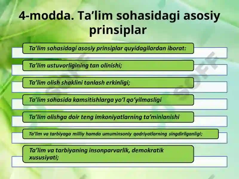 Ta’lim sohasidagi asosiy prinsiplar 2