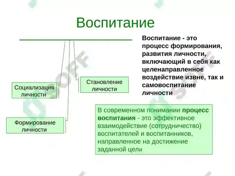 Сущность и содержание процесса воспитания 2