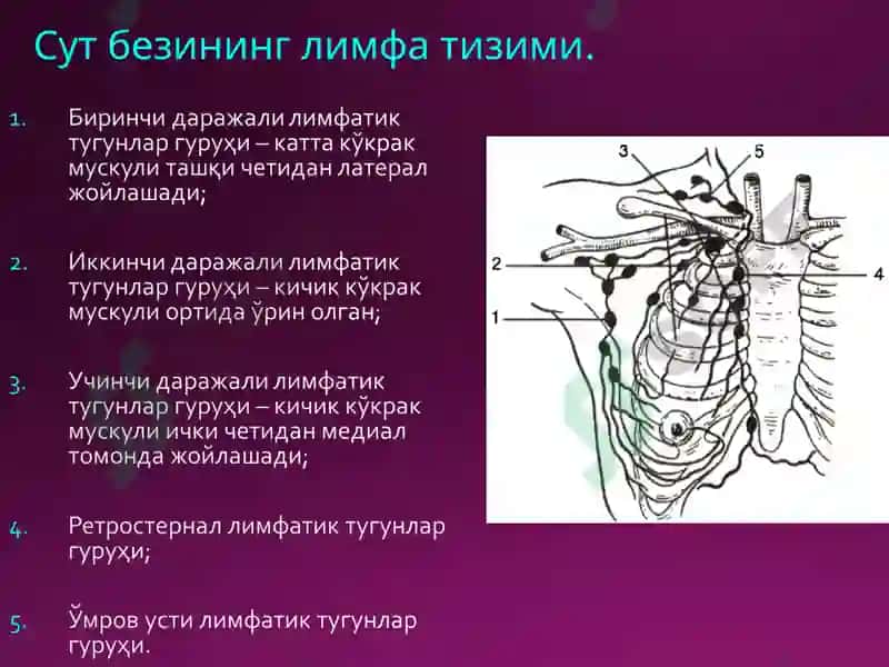 Halsted бўйича радикал мастэктомия 2