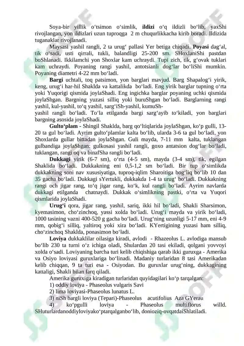 SOYA VA LOVIYA – SISTEMATIKASI, MORFOLOGIK BELGILARI 2