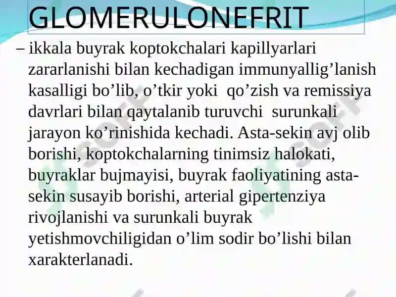 GLOMERULONEFRIT 2