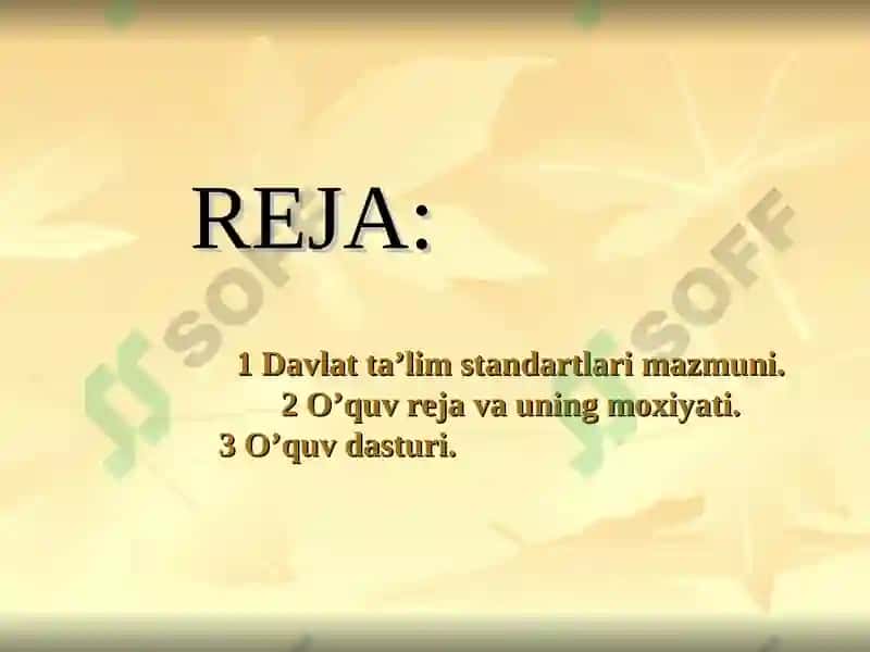 Umumiy pedagogika, Umumiy o‘rta ta’lim davlat ta’lim standartini o‘rganish 2