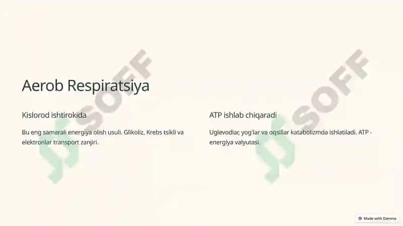 Katabolik Metabolizm: Mikroblarning Energiya Olish Usullari 2