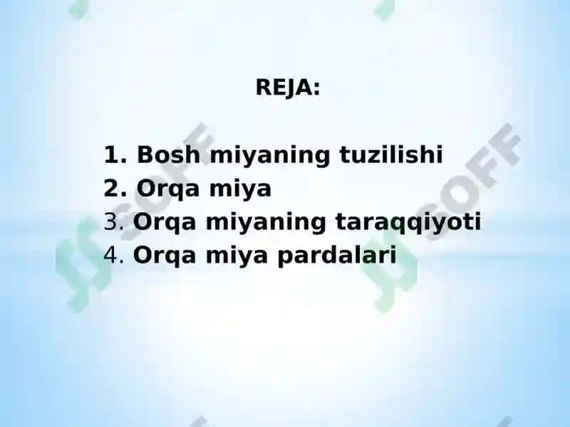 Bosh miya katta yarim sharlarining tuzilishi va fiziologiyasi 2
