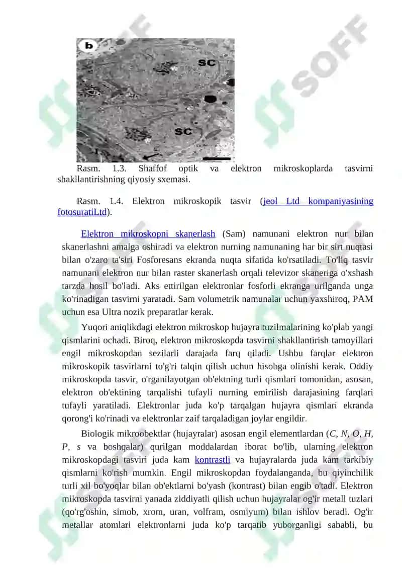 Biologik jarayonlarni grafik tasvirlarini olish usullari 2