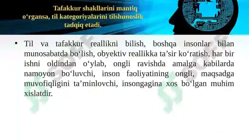 TIL VA TAFAKKUR, LISON VA NUTQ MUNOSABATI 2