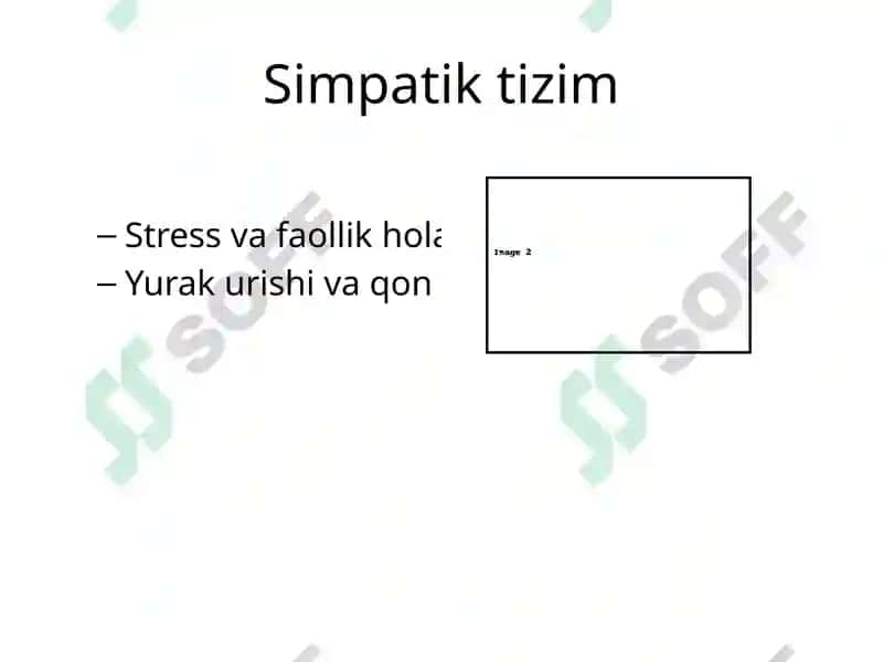 Vegetativ nerv sistemasi 2