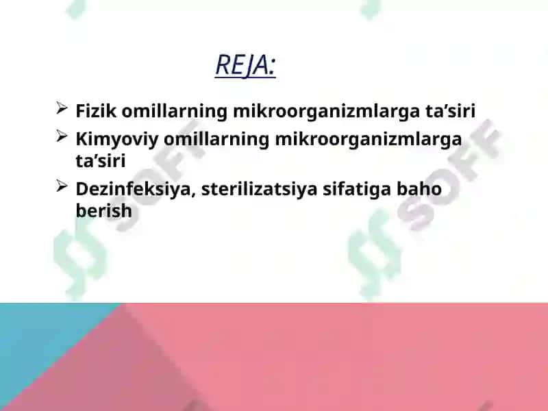 Mikroorganizmlarining ta’siri 2