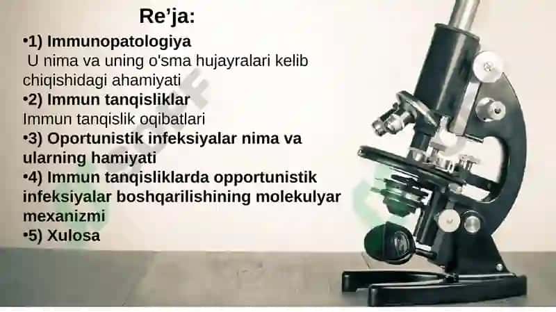 Immunopatologiya o’sma hujayralarining kelib chiqishidagi ahamiyati. Immun tanqisliklarda opportunistik infeksiyalar boshqarilishining molekulyar mexanizmi 2