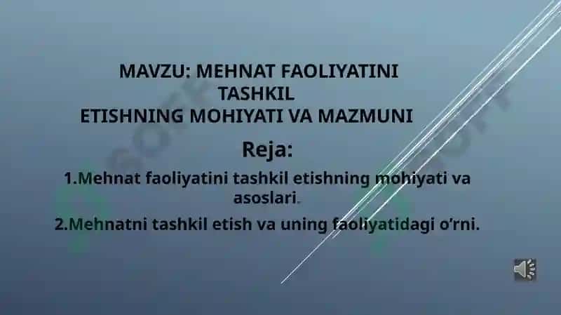 MEHNAT FAOLIYATINI TASHKIL ETISHNING MOHIYATI VA MAZMUN 2