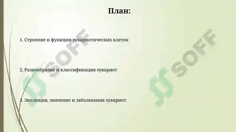 Эукариотлар 2