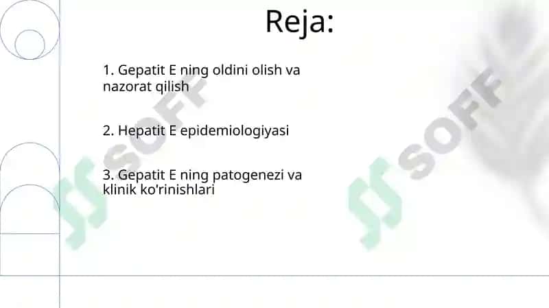 Gepatit E 2
