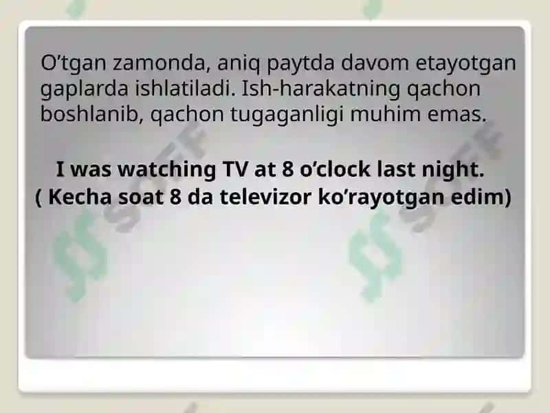 Past Continuous Tense 2