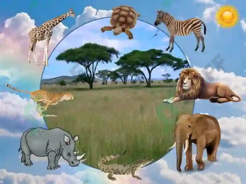Afrikaning geografik o‘rni va o‘rganish tarixi 2