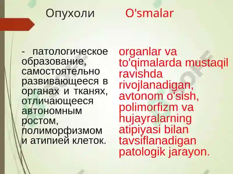 ОСНОВЫ ОНКОЛОГИИONKOLOGIYA ASOSLARI 2