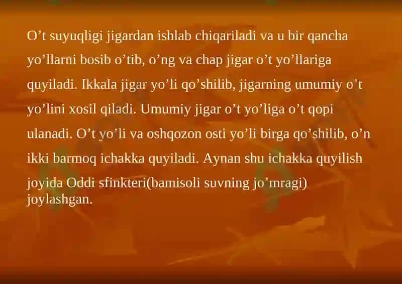 Oʼt yoʼllari diskineziyasi 2