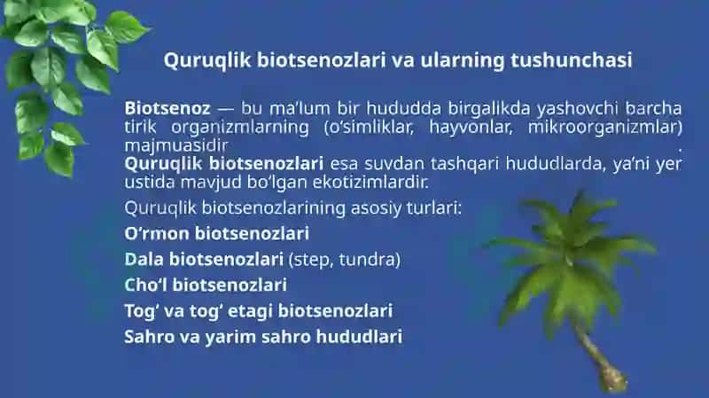 Quruqlik biotsenozlarining turi va ulardagi tashkil etili shediylik jamoalarini tushunish 2