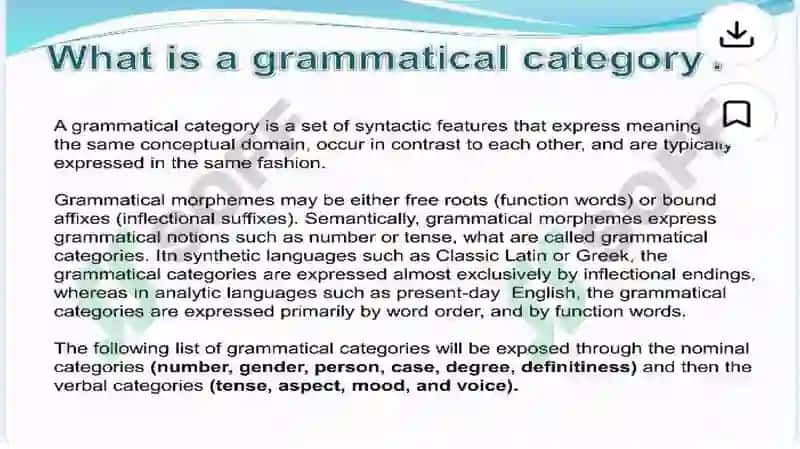 GRAMMATICAL CATEGORIES 2