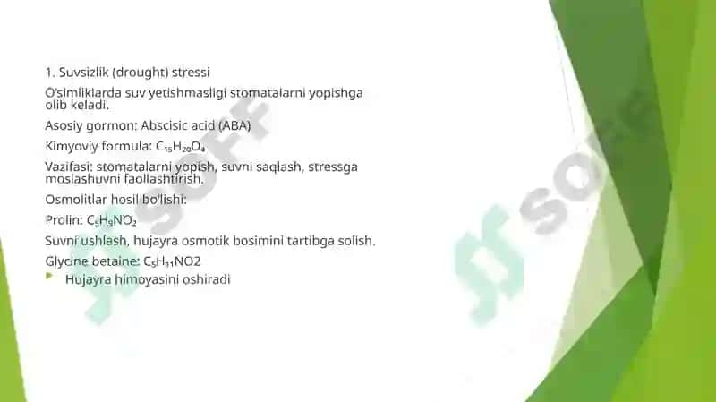 Stress reaksiyalari 2