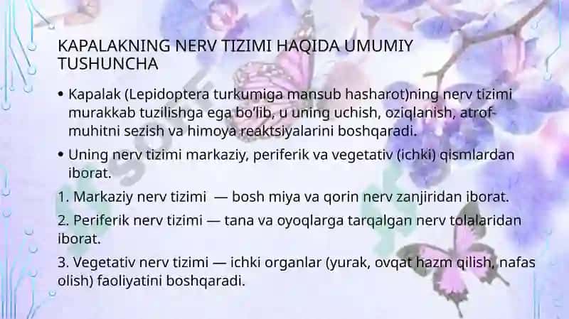 Kapalakning nerv va reproductive tizimi 2