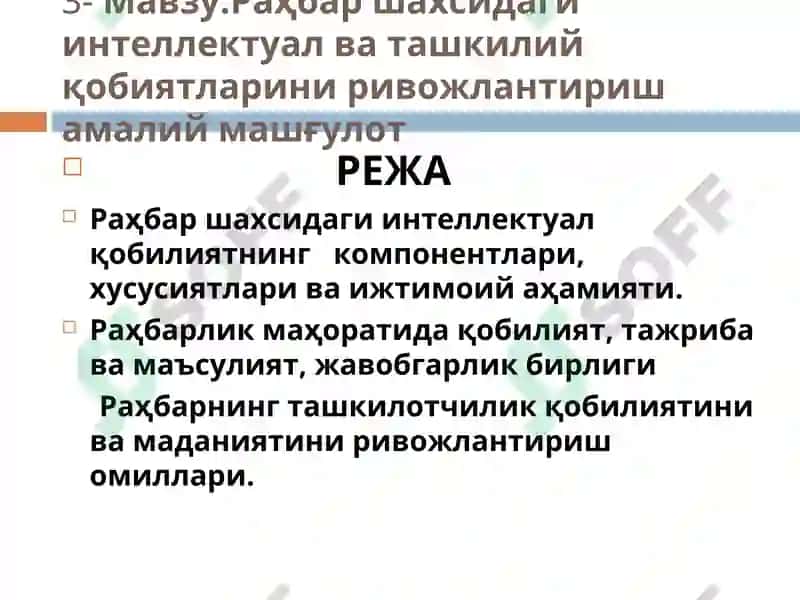 Раҳбар шахсидаги интеллектуал ва ташкилий қобиятларини ривожлантириш амалий машғулот 2