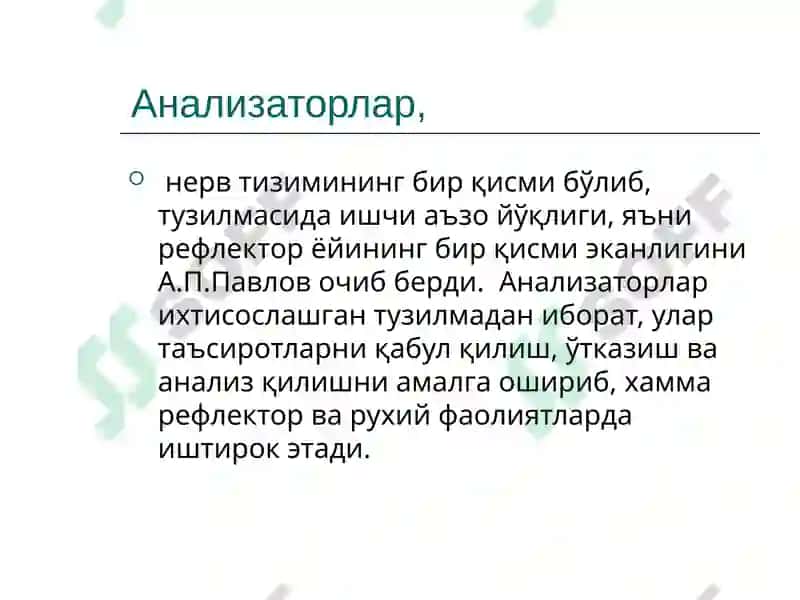 Анализаторлар умумий физиологияси 2