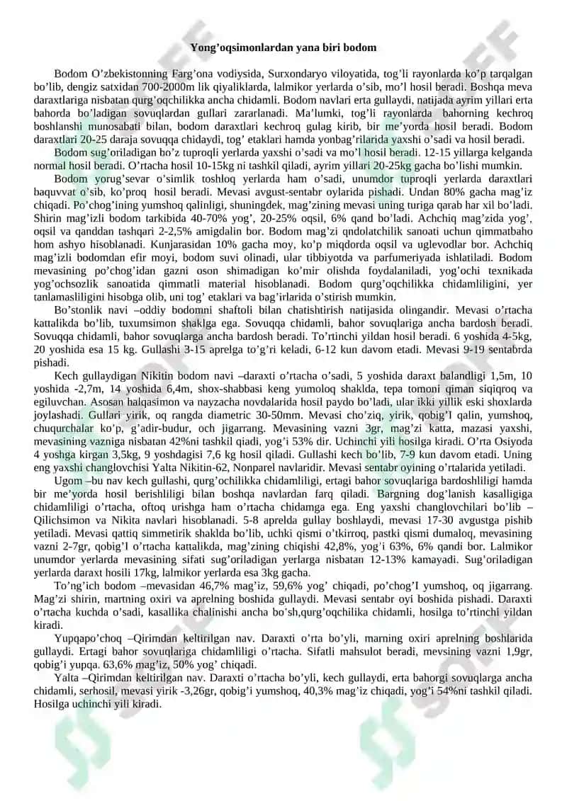 Zig'ir tolasi 2