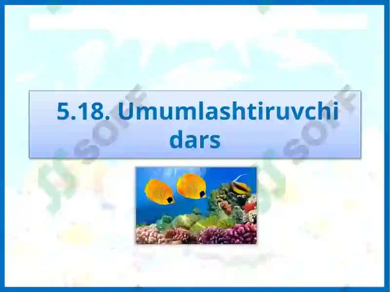 Umumlashtiruvchi dars 2