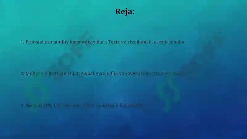 Fransiya Transmilliy korporatsiyasi 2