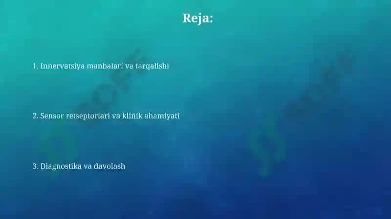 Oyoq terisini inervatsiyasi 2