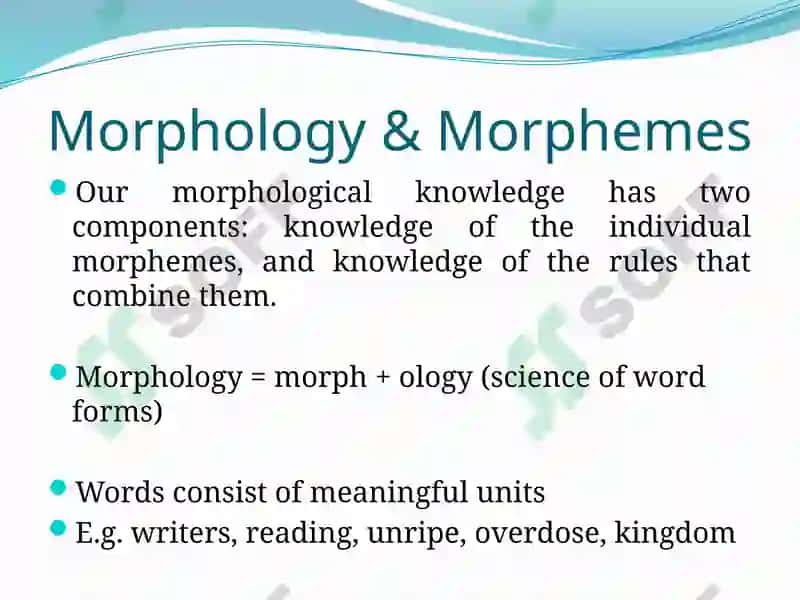The morphemic structure of the word 2