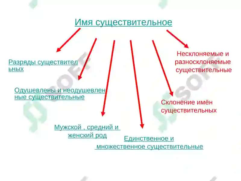 Имя существительное 2