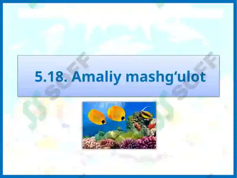 Amaliy mashg‘ulot 2