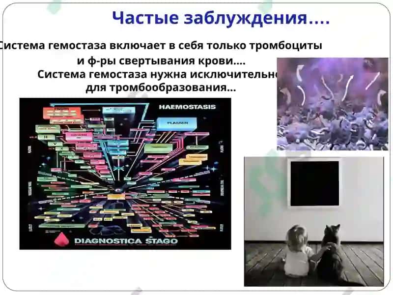 Нарушения в системе гемостаза у детей раннего возраста 2