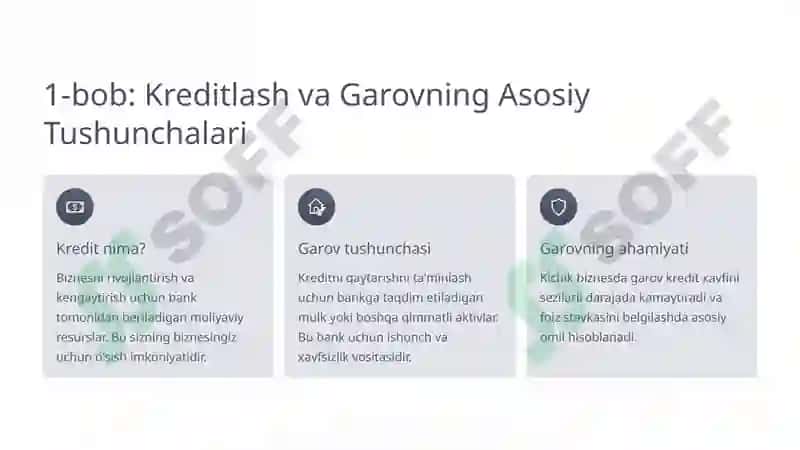 Kichik Biznes uchun Kreditlashda Garov Siyosati 2