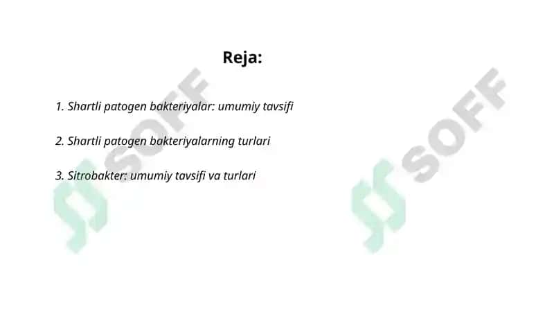 Shartli patogen dioriyaogen ichak gruppa bakteriyalari, Sitrobakter, Klebsiella, Enterobakter 2
