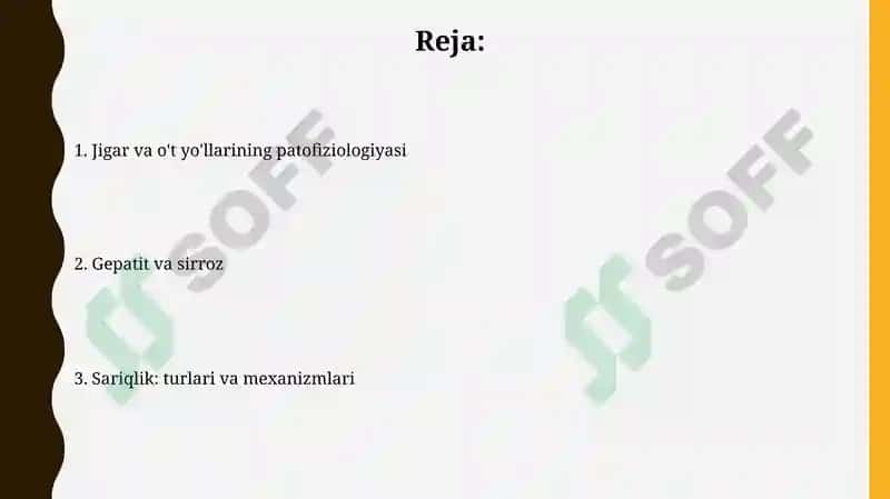 Jigar va o't yo'llari patafizialogiyasi 2