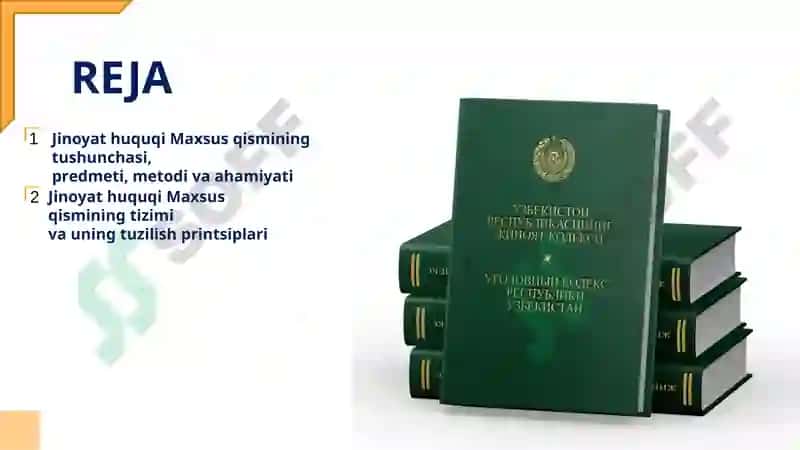 JINOYAT HUQUQI  MAXSUS QISMI TUSHUNCHASI,  UNING TIZIMI  VA AHAMIYATI 2