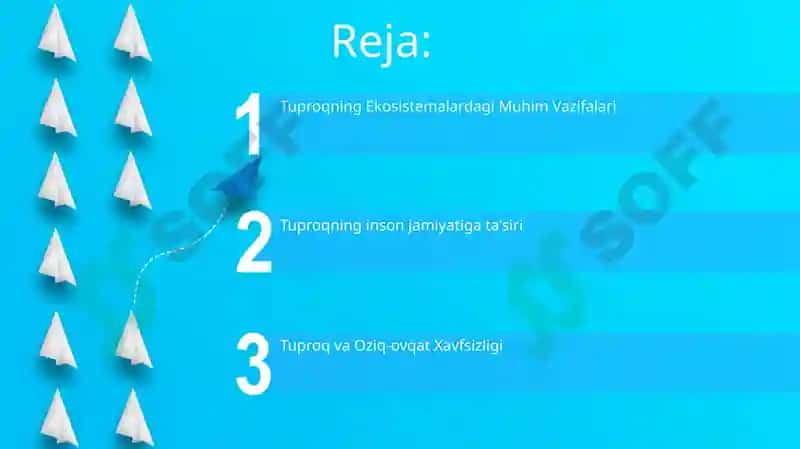Tuproqning Ekosistemalardagi Muhim Vazifalari 2