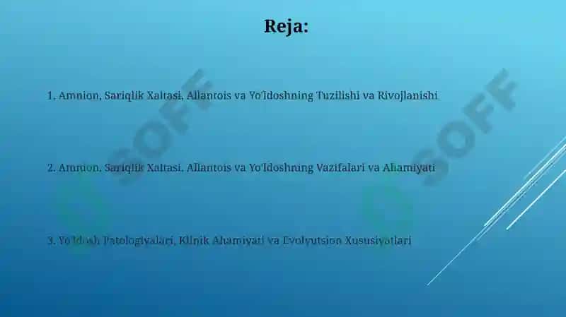 Amnion, Sariqlik Xaltasi, Allantois va Yo'ldoshning Tuzilishi va Rivojlanishi 2
