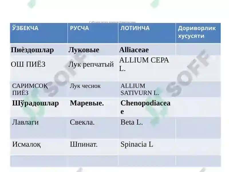 Сабзавот ва полиз доривор ўсимликларнинг рўйхати 2