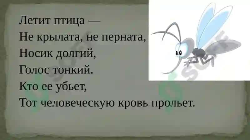 Загадки, пословицы, поговорки 2
