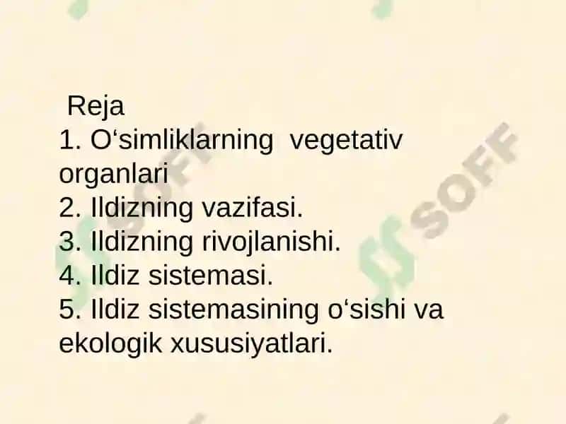 Ildiz va uning vazifasi, tiplari va tuzilishi 2